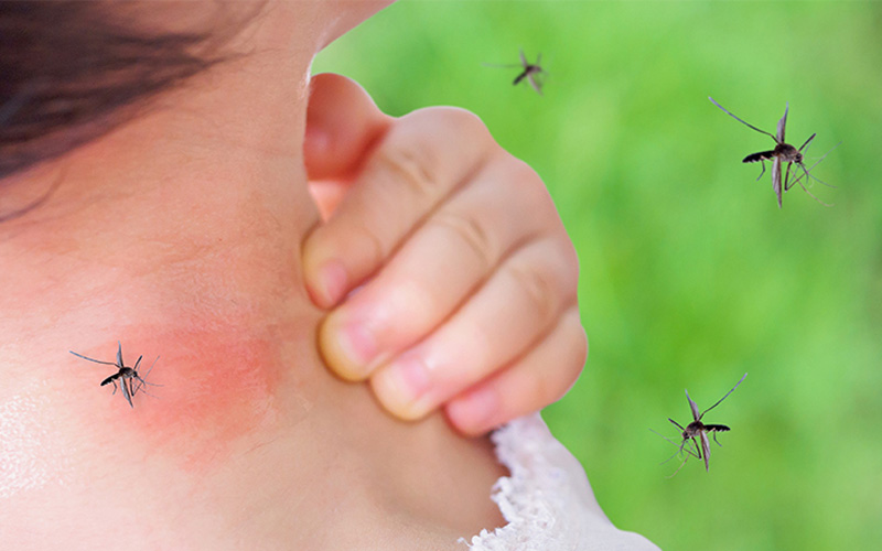 Protection from mosquitoes