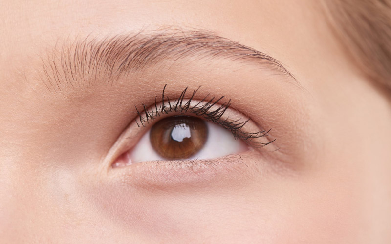 Ordinary Eyebrows